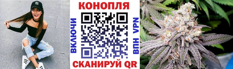 Где найти наркотики Перевоз Alpha PVP Мефедрон ГАШИШ Марихуана Кокаин