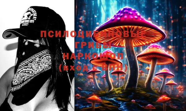 твердый Аркадак