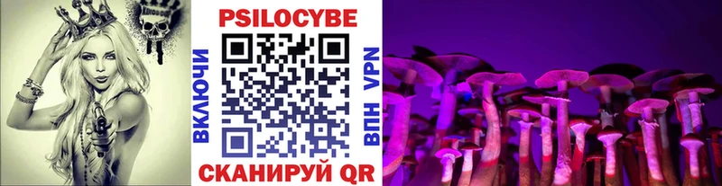 Галлюциногенные грибы Psilocybine cubensis  цены наркотик  Перевоз 