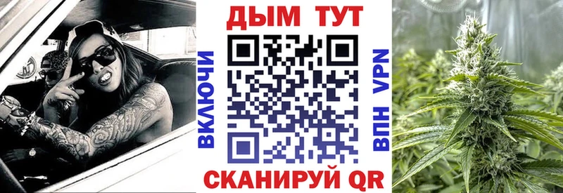 Конопля сатива  Перевоз 